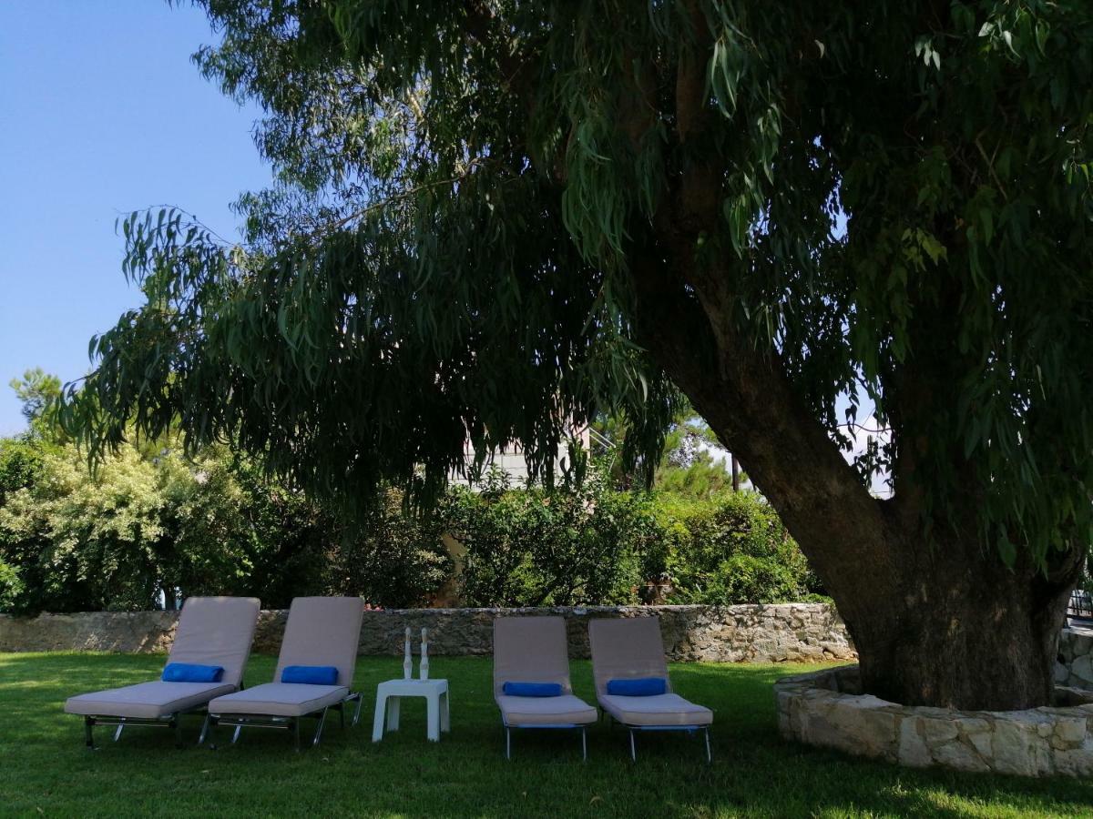 Cedar Tree Villa Kounoupidhianá Екстериор снимка